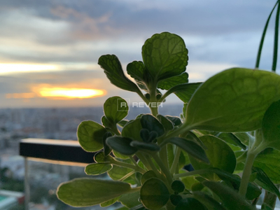  Căn hộ Kingdom 101 hướng ban công tây bắc nội thất cơ bản diện tích 78.17m².