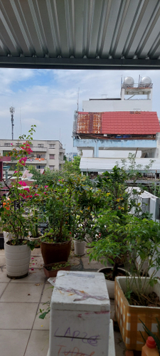  Nhà phố Đường Nguyễn Thái Bình 5 tầng diện tích 39.7m² hướng tây bắc pháp lý sổ hồng