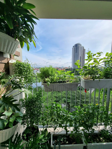 scaled_AMWts8BNCJ--QXerQlEvZMgHDWBXz1sUE0M6Cb7wxh8of8pj9oHoIv9O2qG6D6nPD9ghMJzzccjFozTYwZh2mZseh__vxVO5D9EveHaHr2ZTRFoAlVpUx6ovmvt1DWZCqXRLliLRP_loRNPAGzqihrk7aL7Wdg=w720-h960-s-no.jpg Căn hộ Masteri Thảo Điền hướng Đông Bắc, diện tích 70m²