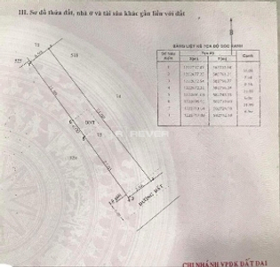  Đất nền Đường 498 diện tích 388.4m² pháp lý sổ hồng.