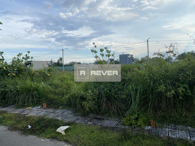 Rever