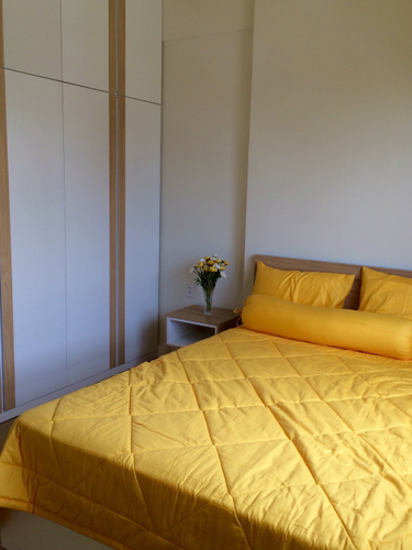 căn hộ Masteri Thảo Điền quận 2 Căn hộ Masteri Thảo Điền hướng ban công đông bắc đầy đủ nội thất diện tích 76.65m²