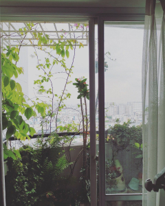 Căn hộ Phú Thạnh Apartment, Quận Tân Phú Căn hộ Phú Thạnh Apartment tầng 15 diện tích 91m2, đầy đủ nội thất.