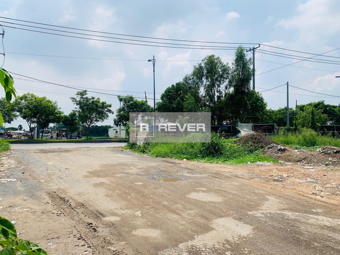 Rever