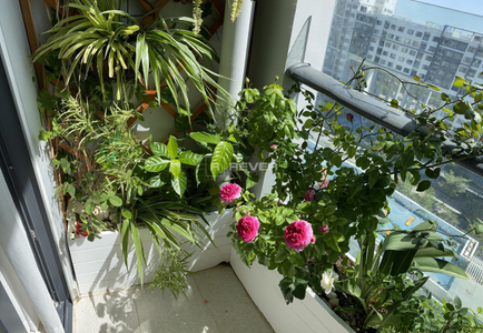  Căn hộ New City Thủ Thiêm hướng Đông Nam, diện tích 85.42m²