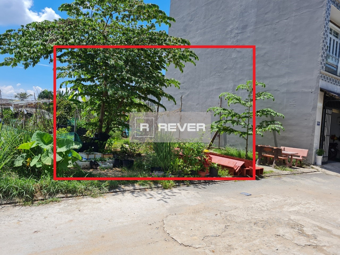 Rever