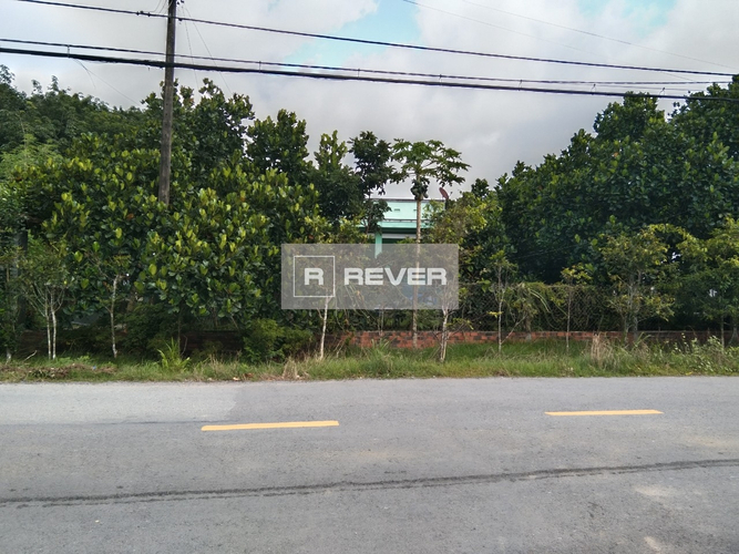 Rever