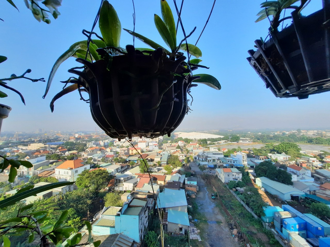 Căn hộ Samsora Riverside, Huyện Dĩ An Căn hộ Samsora Riverside tầng 10 có 1 phòng ngủ, nội thất cơ bản.