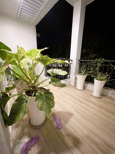 Nhà phố Quận 9 Nhà phố dự án Park Riverside thiết kế 1 trệt, 3 lầu đúc kiên cố.