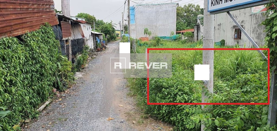 Rever