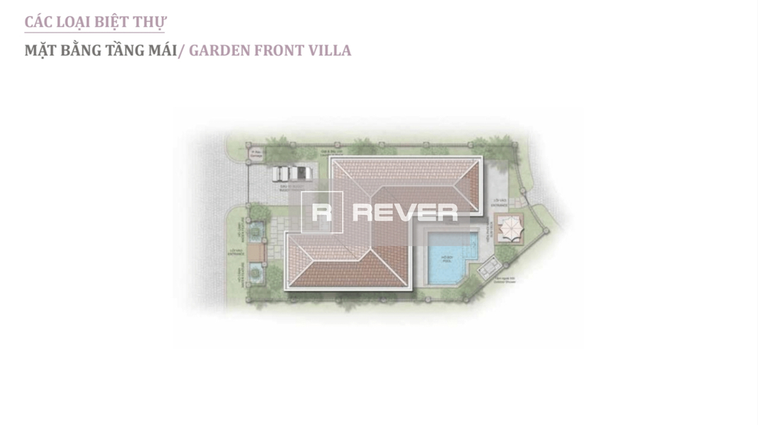 Rever