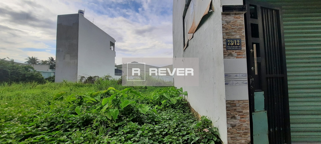Rever