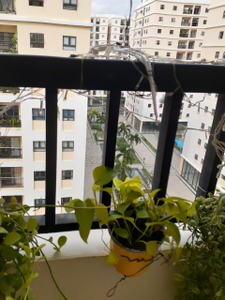 Căn hộ CityLand Park Hills, Quận Gò Vấp Căn hộ Cityland Park Hills tầng 7 thiết kế hiện đại, đầy đủ nội thất.