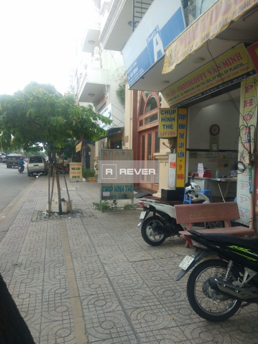 Rever