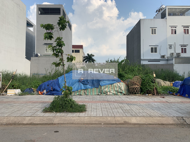 Rever