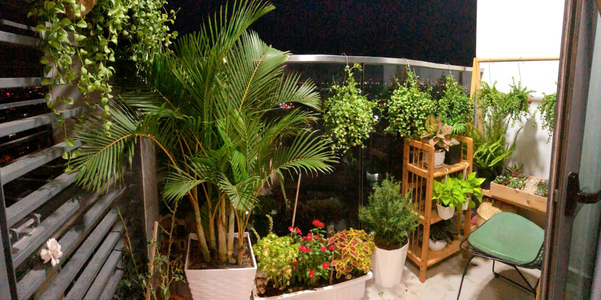 Celadon City, Quận Tân Phú Căn hộ cao cấp Celadon City bàn giao đầy đủ nội thất.