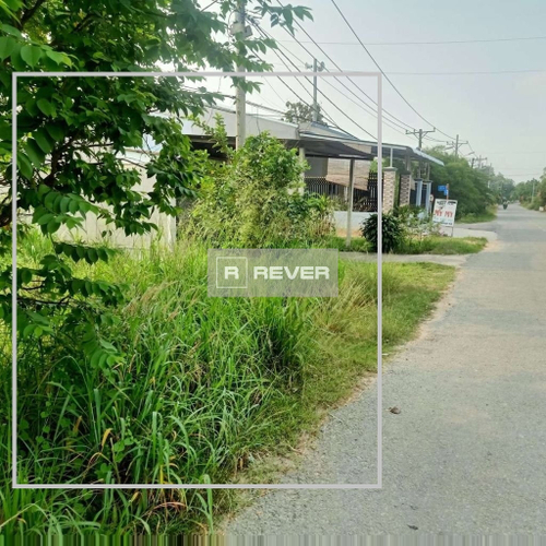 Rever
