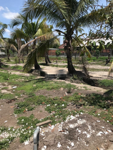 Đất nền Huyện Củ Chi Đất nền diện tích 1783.2m2 rộng thoáng, có sổ hồng riêng.