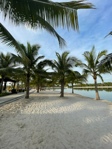 Căn hộ Vinhomes Grand Park, Quận 9 Căn hộ Vinhomes Grand Park thiết kế 2 phòng ngủ,