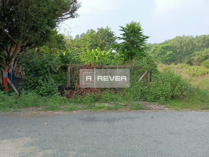 Rever