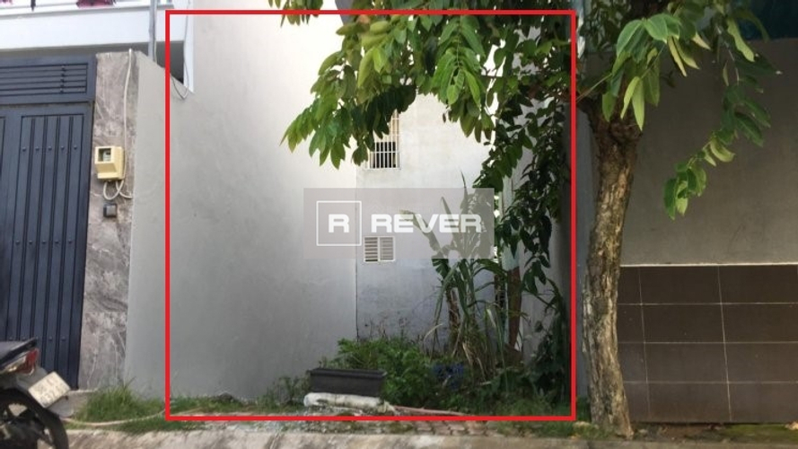 Rever