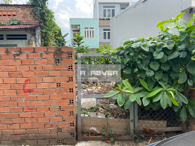 Rever