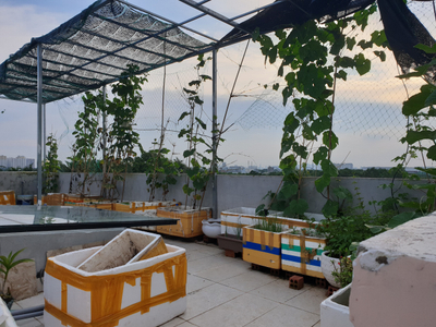 Nhà phố Quận 9 Nhà phố diện tích đất 51m2 đường Võ Văn Hát, khu dân cư sầm uất.