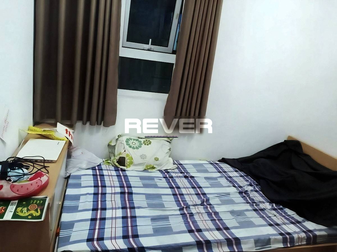 Rever