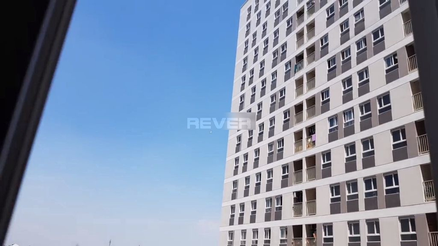 Rever