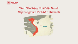 Tỉnh Nào Rộng Nhất Việt Nam? Xếp hạng Diện Tích 63 tỉnh thành