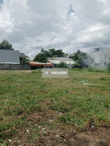 Rever