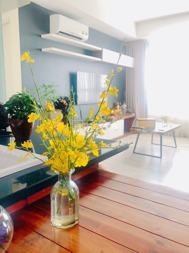  Căn hộ Masteri Thảo Điền hướng ban công đông nam đầy đủ nội thất diện tích 70.79m²