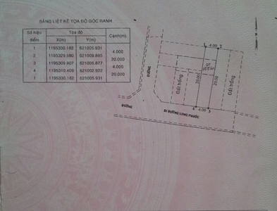 Đất nền Quận 9 Đất nền đường Số 9 hướng Tây Nam, khu dân cư sầm uất.