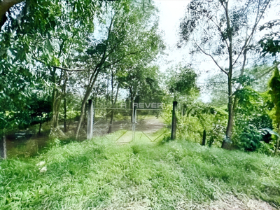 Đất nền Đường Nguyễn Thị Ba diện tích 7,184.4m² pháp lý sổ hồng.