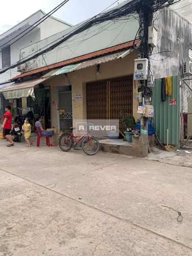 Rever