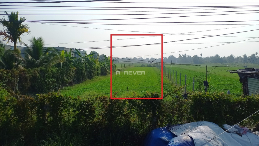 Rever