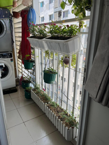 Căn hộ Ehome S Nam Sài Gòn, Huyện Bình Chánh Căn hộ Ehome S Nam Sài Gòn tầng 6 ban công hướng Bắc mát mẻ.