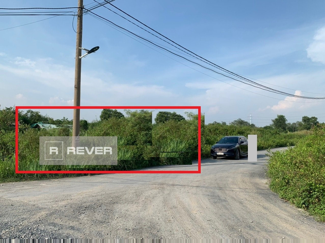 Rever