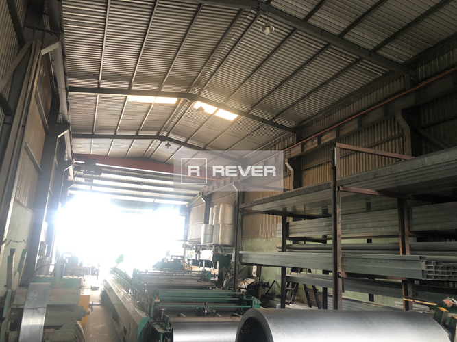 Rever