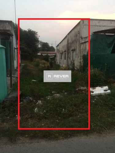 Rever
