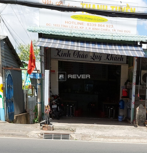 Rever