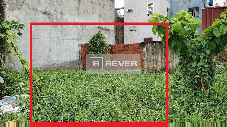 Rever