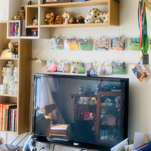 Căn hộ Celadon City Tân Phú Căn hộ Celadon City tầng 5 ban công thoáng mát, nội thất đầy đủ