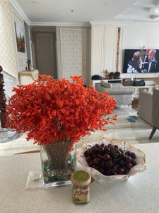 IMG_2629.JPG Pent-house  Sunrise City Central Quận 7 diện tích 284 m²