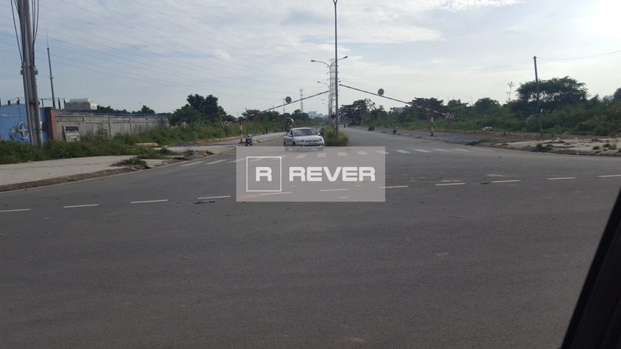 Rever