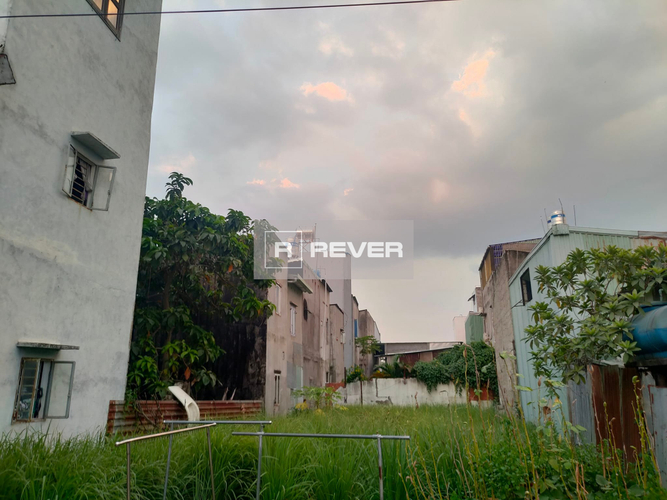 Rever