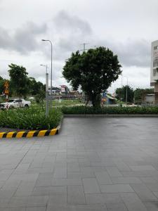 View The Sun Avenue Shophouse The Sun Avenue cửa chính hướng Nam, bàn giao thô