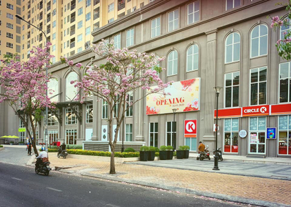 Saigon Mia, Huyện Bình Chánh Căn hộ Saigon Mia hướng ban công nam đầy đủ nội thất diện tích 56m²