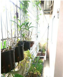 Nhà phố Quận Gò Vấp Nhà phố hướng Tây Nam thiết kế 1 trệt, 1 lầu kiên cố, nội thất cơ bản.