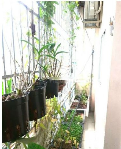 Nhà phố Quận Gò Vấp Nhà phố hướng Tây Nam thiết kế 1 trệt, 1 lầu kiên cố, nội thất cơ bản.